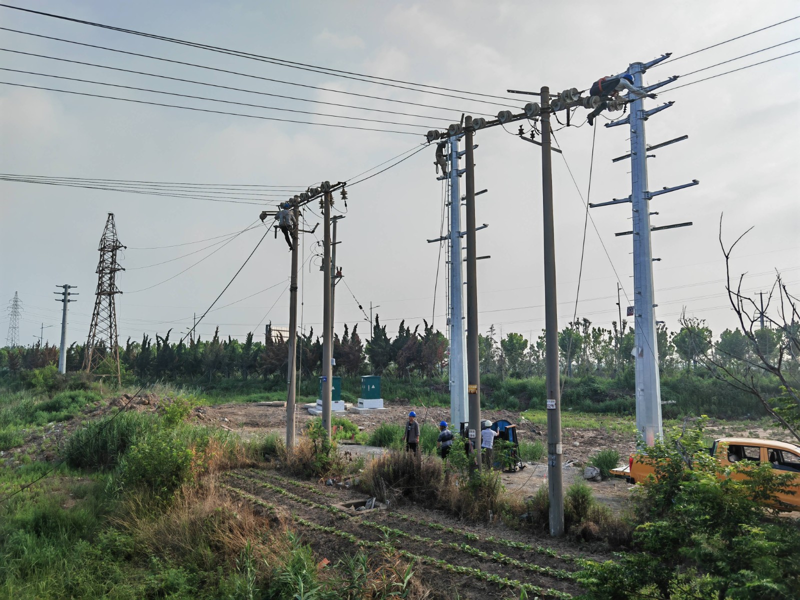 1689641450882057932.jpg 徐南戰(zhàn)高溫(1).jpg